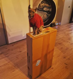 Dierendag